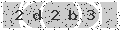 verify code