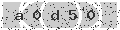 verify code
