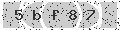 verify code
