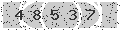verify code