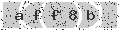 verify code