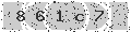 verify code