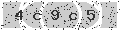 verify code