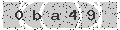 verify code