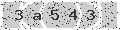 verify code