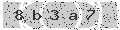 verify code