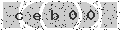 verify code