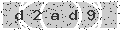 verify code