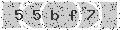 verify code